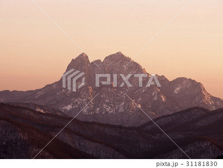 冬 国立公園 北朝鮮産 31181830