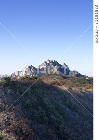 国立公園 白雲台 山 31181883