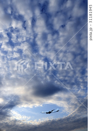 雲 飛行機 空 31181945