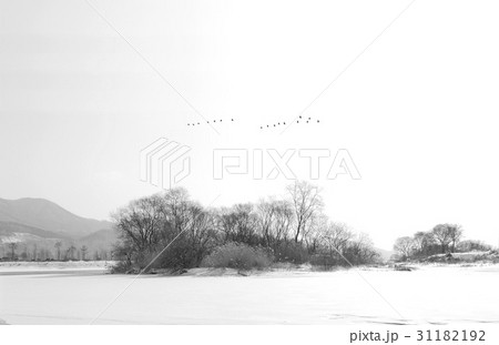 モノトーン 北漢江 チャラ島 31182192