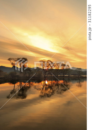 夕焼け 反射 反影 31182295