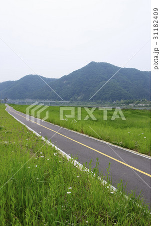 江原道 春川市 韓国 31182409