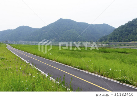 江原道 道路 風景 31182410