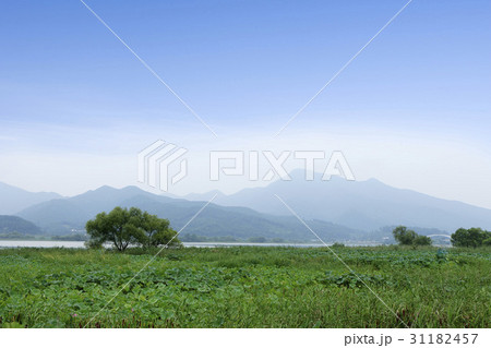 京畿道 キョンギド 霧 31182457