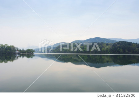 川 河 木 31182800