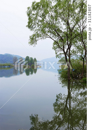 京畿道 キョンギド 反射 31182807