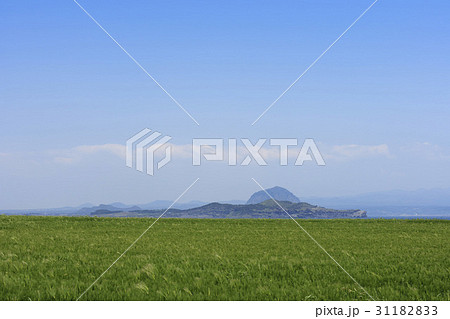 山房山 済州島 チョンボリ 31182833