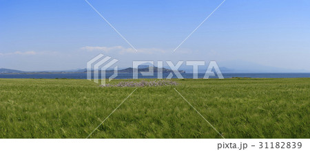 加波 山房山 済州島 31182839