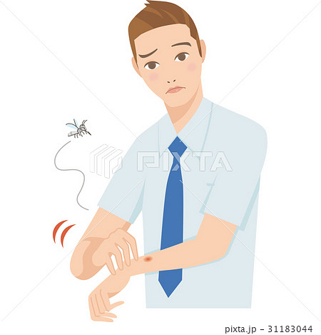 蚊に刺される男性 31183044