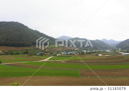 江原道 田畑 農業 31183079