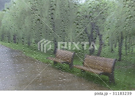 水滴 ベンチ 北ソウル夢の森 31183239