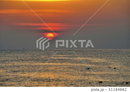 夕焼け 海 蔚山 31184662