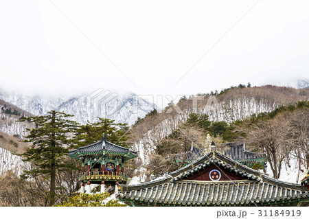 江原道 雪景色 韓国 31184919