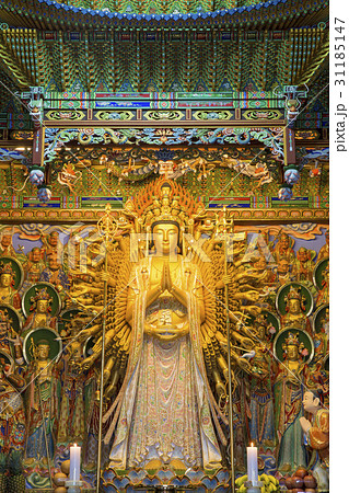 仏 釈迦 ブッダ 31185147