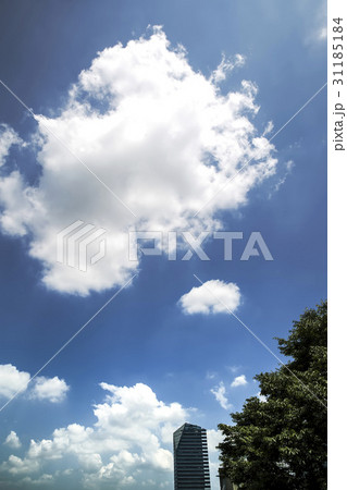 高層ビル 雲 メセナポリス 31185184