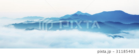 グクサボン 山 任實郡 31185403