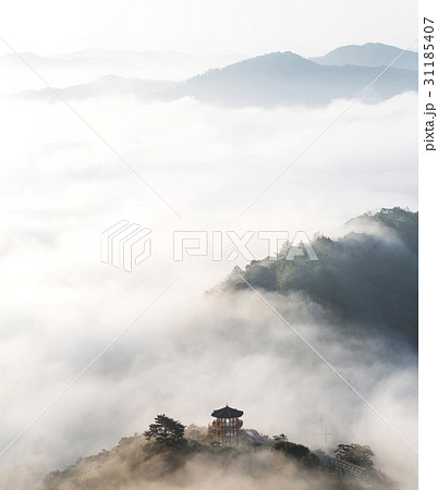 グクサボン 任實郡 全北 31185407