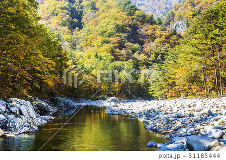 江原道 紅葉 ベクダム谷 31185444