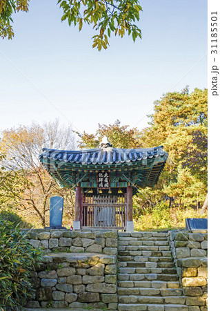秋 紅葉 神勒寺 31185501