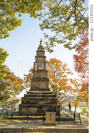 紅葉 仏教 トップ 31185502