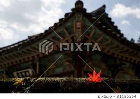 白羊寺 全羅南道 軒下 31185554