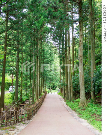 石見銀山　町並み 31185657