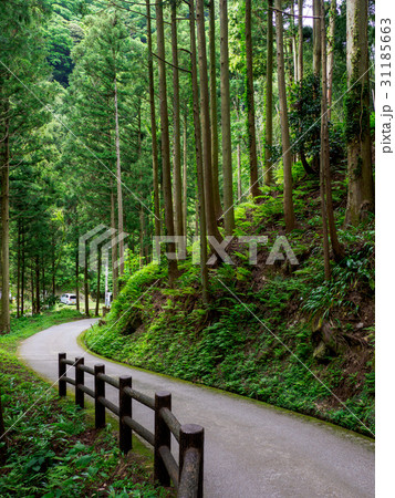 石見銀山　町並み 31185663