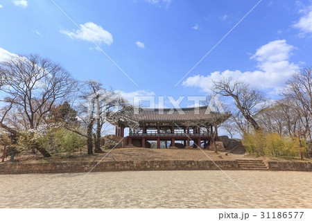 古建築 宝物 三陟 31186577