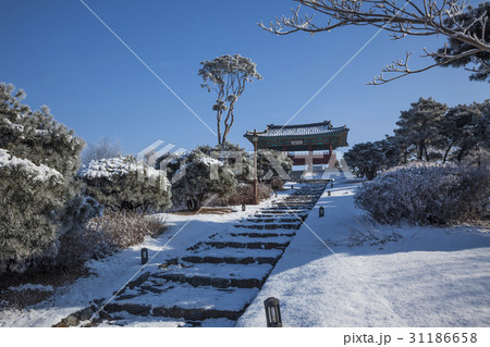 冬 京畿道 キョンギド 31186658