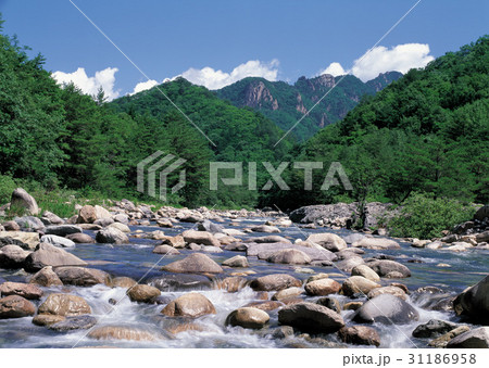 江原道 国立公園 雪岳山 31186958