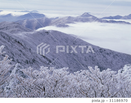 冬 雪花 徳裕山 31186970