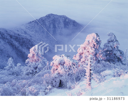 冬 徳裕山 雪景色 31186973