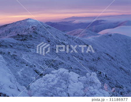 徳裕山 茂朱郡 雪景色 31186977
