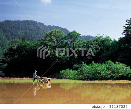 江原道 農家 某 31187025
