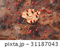冬 落葉 氷 31187043