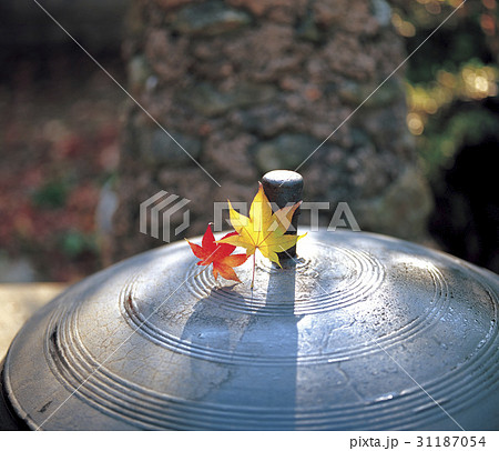 釜 カエデの葉 民俗村 31187054