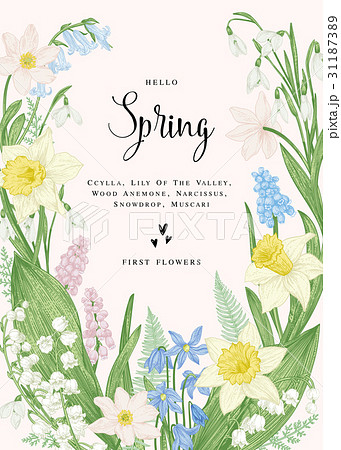 Card with spring flowers. 31187389