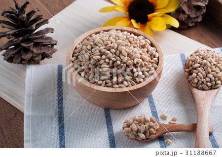 pearls barley grain seed on background. pearls barley grain seed on background. 31188667