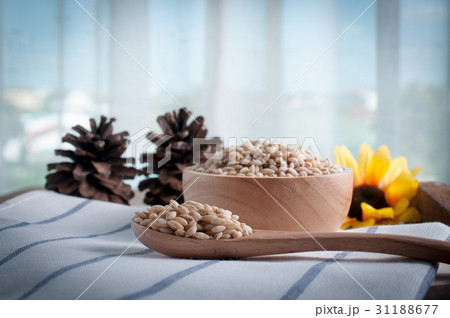 pearls barley grain seed on background. 31188677