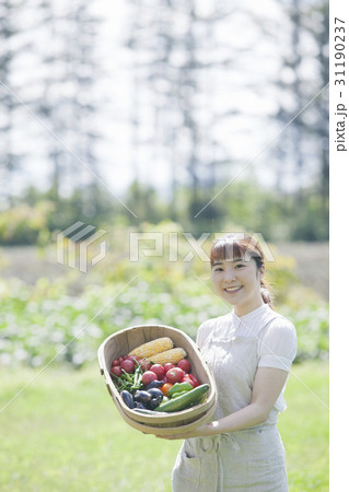 家庭菜園を楽しむ女性 家庭菜園を楽しむ女性 31190237