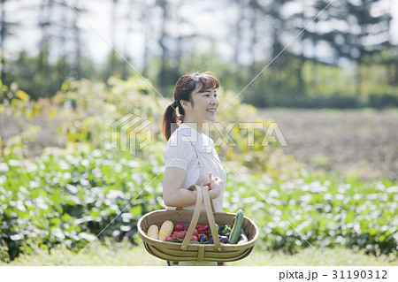 家庭菜園を楽しむ女性 家庭菜園を楽しむ女性 31190312