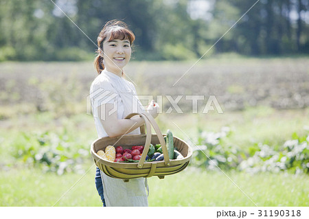 家庭菜園を楽しむ女性 家庭菜園を楽しむ女性 31190318
