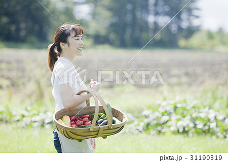 家庭菜園を楽しむ女性 31190319