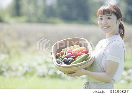 家庭菜園を楽しむ女性 31190327
