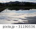 水鏡 5月の田園風景 水鏡 5月の田園風景 31190536