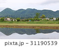 水鏡 5月の田園風景 水鏡 5月の田園風景 31190539