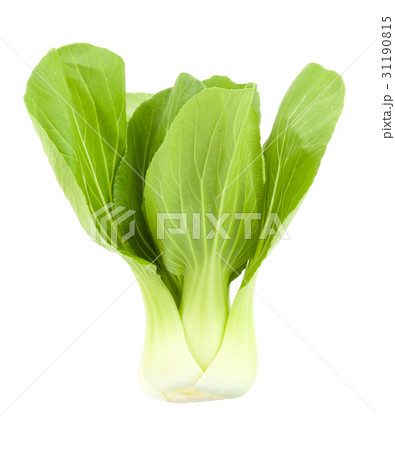Baby Pak Choy on white 31190815