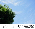 青空と新緑 31190850