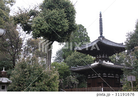 宝塔寺 31191676