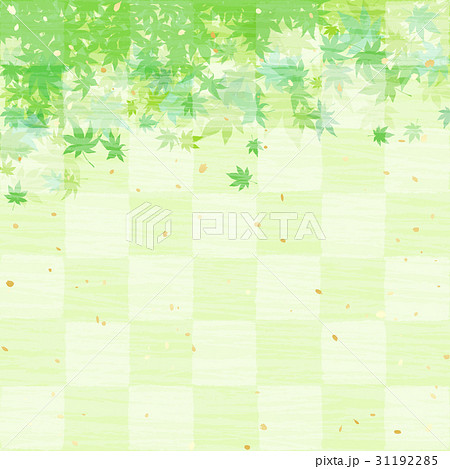 青もみじ 和紙風　バックグラウンド 31192285